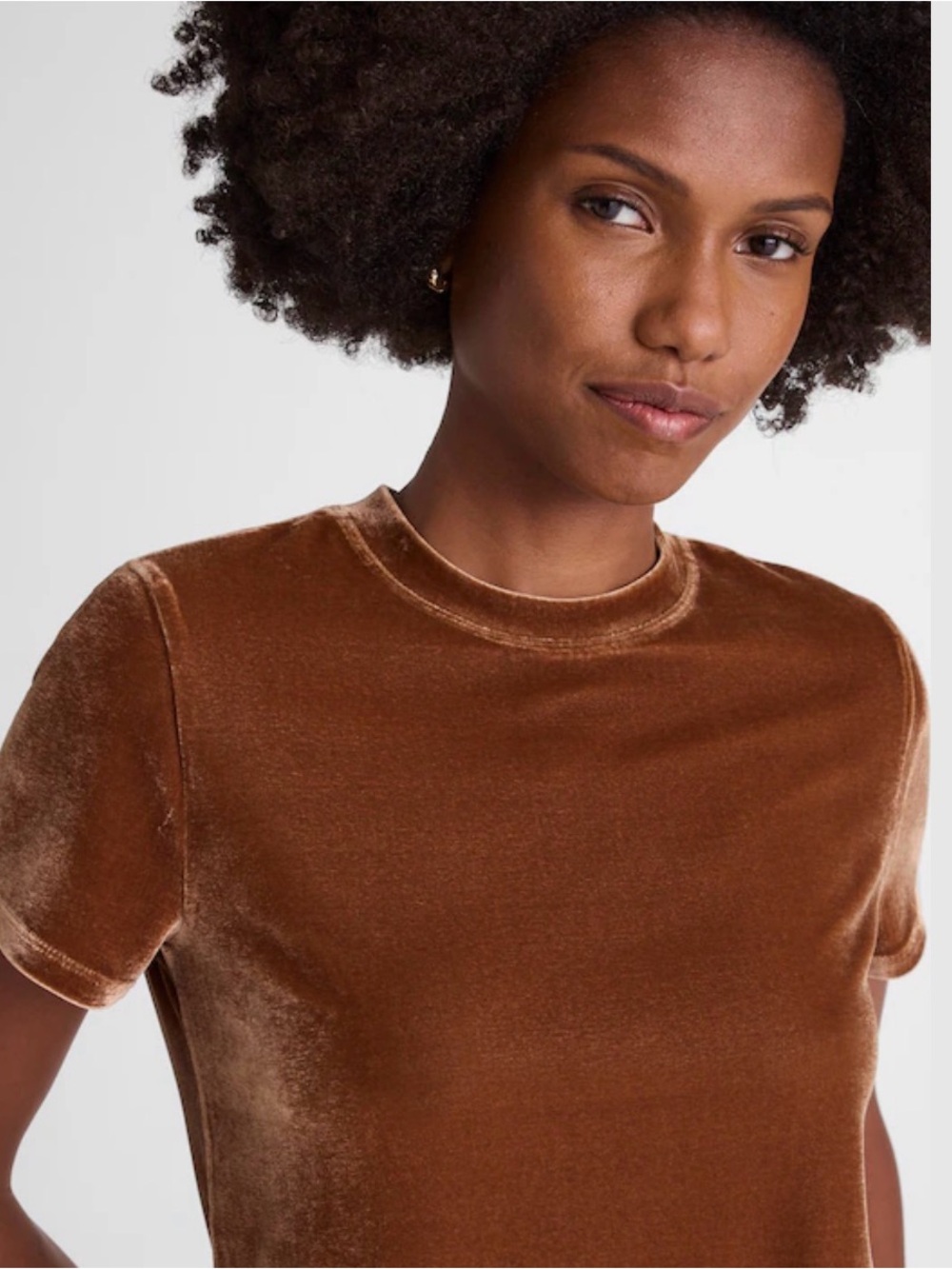 Madewell The Relaxed Tee in Velvet | Size Large | Pecan Shell | NWT - Picture 5 of 7